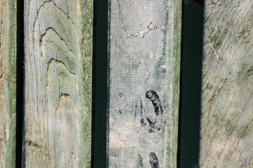 Raw grey wood background for universal usage