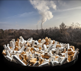 Cigarette smoke damages lungs - stop smoking!
