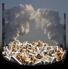 Cigarette smoke damages lungs - stop smoking!
