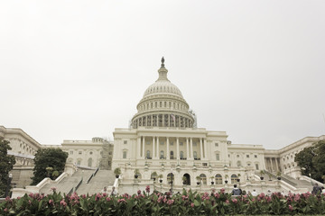 Fototapeta na wymiar United States Capitol Building, Capitol Hill, Washington DC