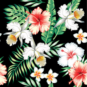 hibiscus and orchids seamless background