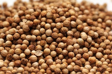 Close up of coriander seeds