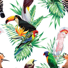 Naklejka premium tropical birds and palm leaves pattern