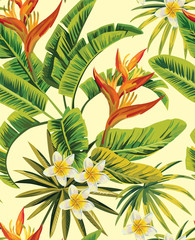 Fototapety  tropikalny wzór egzotycznych kwiatów i roślin