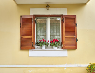 wooden window with cyclamen flowers