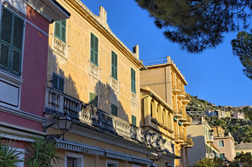 Naklejka premium bonassola