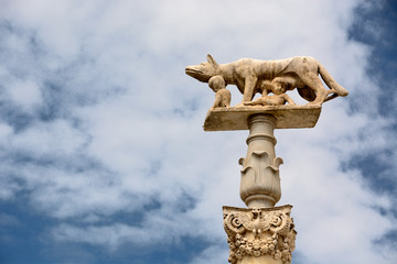 Siena landmark/Statue of the she-wolf