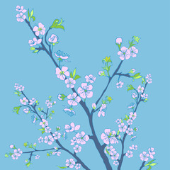 Flowering cherry branch.Vintage background