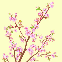 Flowering cherry branch.Vintage background