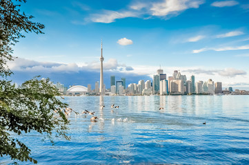 Toronto city, Canada