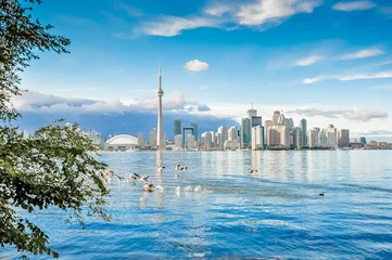 Fotobehang Toronto city, Canada © surangaw