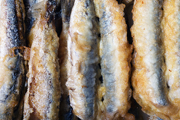 background of fried anchovies