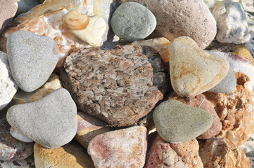 stone hearts and bark heart together