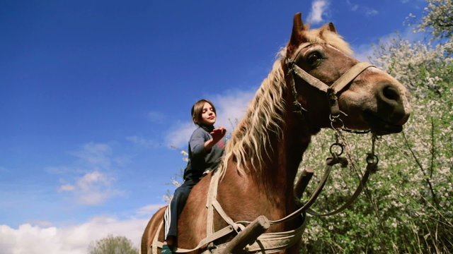 Caucasian boy teenager with a horse on nature.