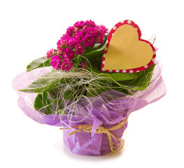 Flowers bouquet  isolated on white  background .