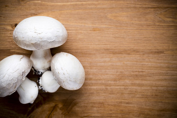 Champignon.