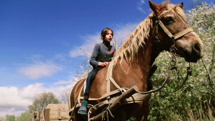 Caucasian boy teenager with a horse on nature.