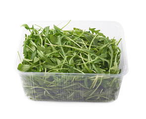 Eruca sativa rucola rocket salad