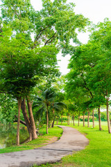 Green lawn in city park and pathway