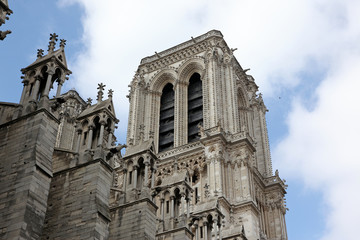Fototapeta na wymiar Cathedral Notre Dame de Paris is a most famous Gothic, Roman Cat