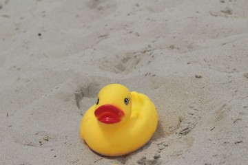 Fototapeta na wymiar Lovely of yellow rubber duck on the sand.