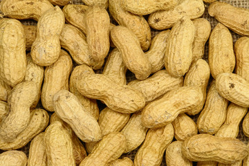 Peanut Background