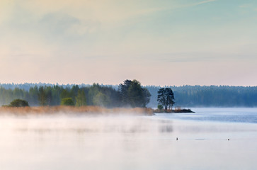 Misty morning on a river