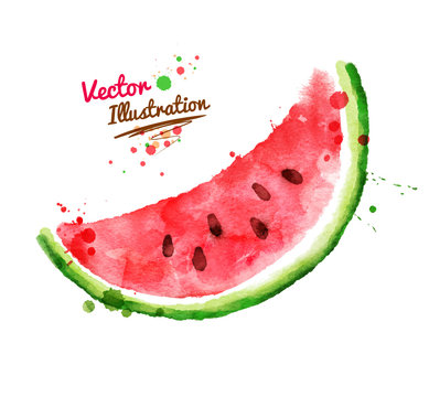 Watercolor watermelon.