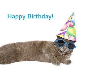 Cartolina di buon compleanno con un gatto buffo
