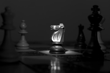 Scacchi fotografati su una scacchiera