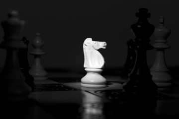 Scacchi fotografati su una scacchiera