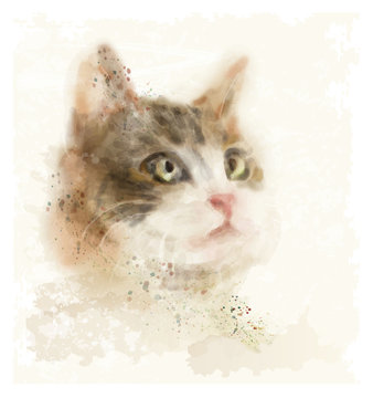 vintage hand drawn watercolor portrait of the cat
