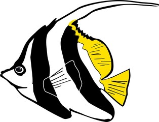 Schooling bannerfish (Heniochus diphreutes) marine aquarium fish