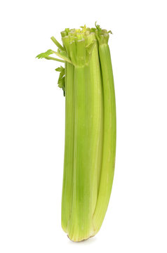 Celery Stalk isolated on white background
