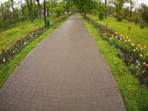 The wide path in the park of the tiles