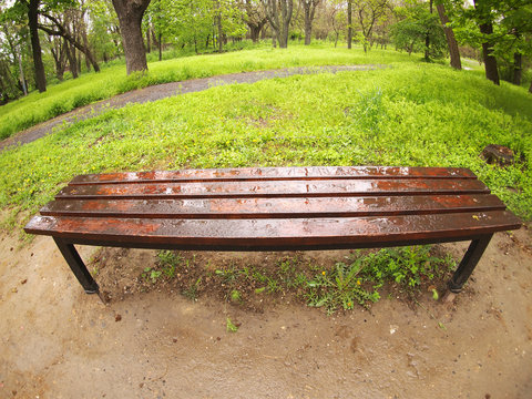 Bench In The Park Just After A Spring Rain