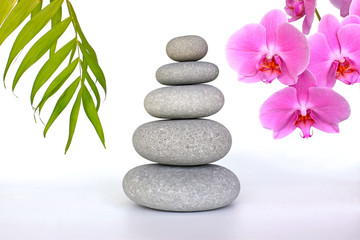 piedras zen orquidea 2007-f15