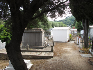 cimetière cap corse rogliano