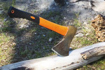 Ax stuck in the tree trunk