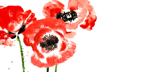 Vector background with red watercolor poppies