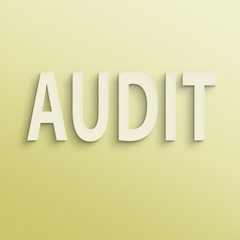 audit