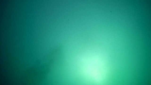 Diver with the metal detector searching for underwater 
