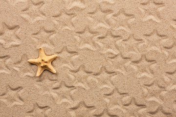 Fototapeta na wymiar Starfish and its imprints on the sand