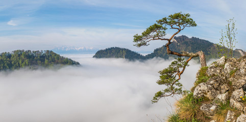 Sokolica Peak in Pieniny, Poland