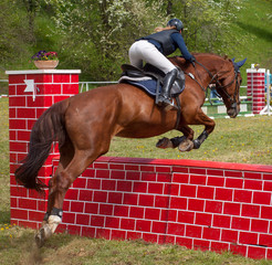 Pferd beim Sprung  beim Reitturnier