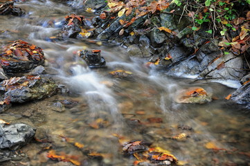 Autumn creek