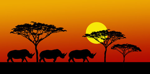 Obraz na płótnie Canvas Rhino night Migration 
