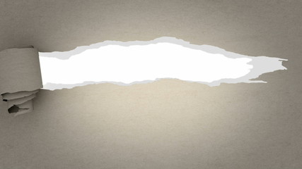 reveal cowhide paper to disclose something