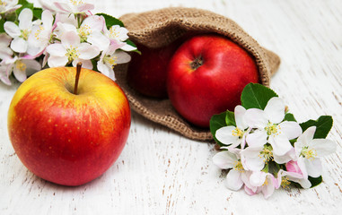 apples  and apple tree blossoms