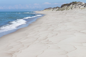 Beach at the Curonian spit